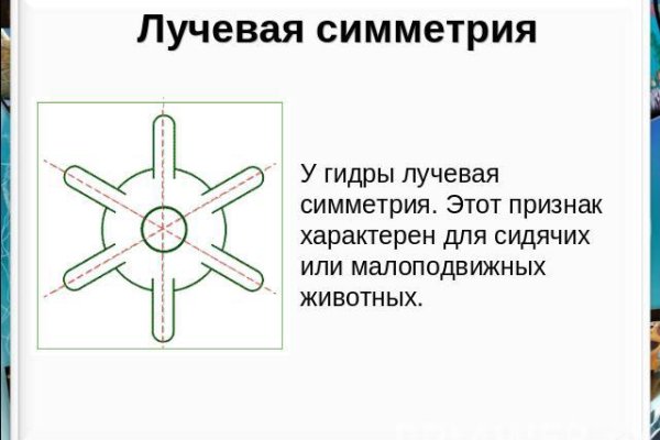 Сайт кракен гидра