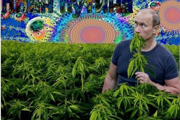 Кракен даркнет отзывы