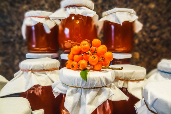 Кракен активная ссылка