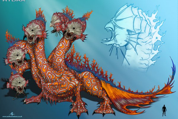 Kraken это современный маркетплейс