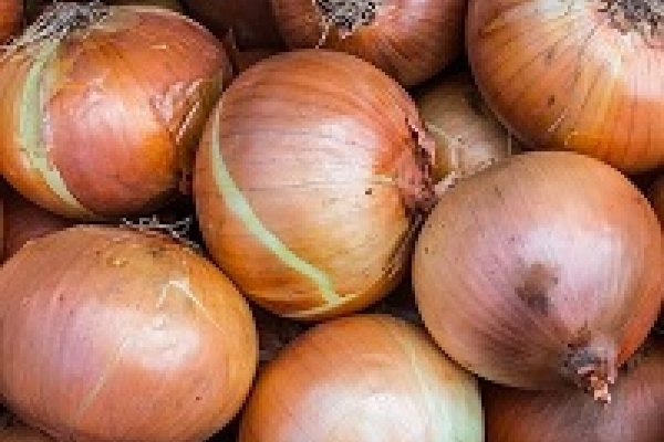 Кракен ссылка официальная в тор