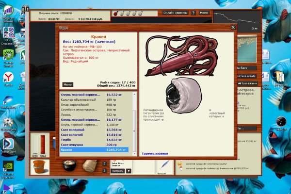 Kraken 24at